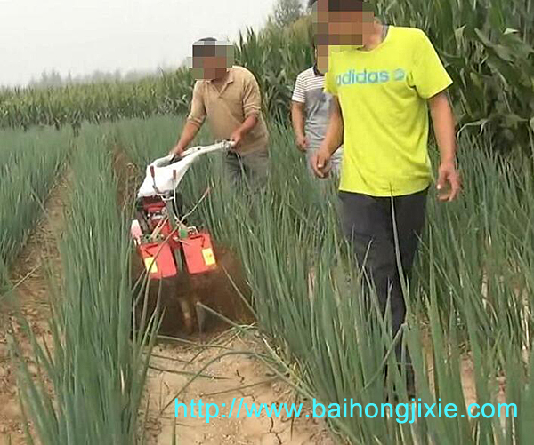 開溝黄色网站茄子视频在大蔥地中的應用
